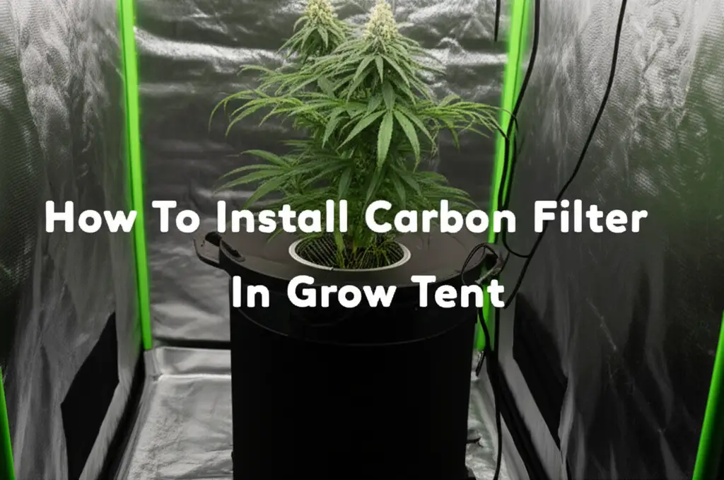Learn how to install a carbon filter in your grow tent for effective odor control and air purification. Get step-by-step instructions for optimal setup.