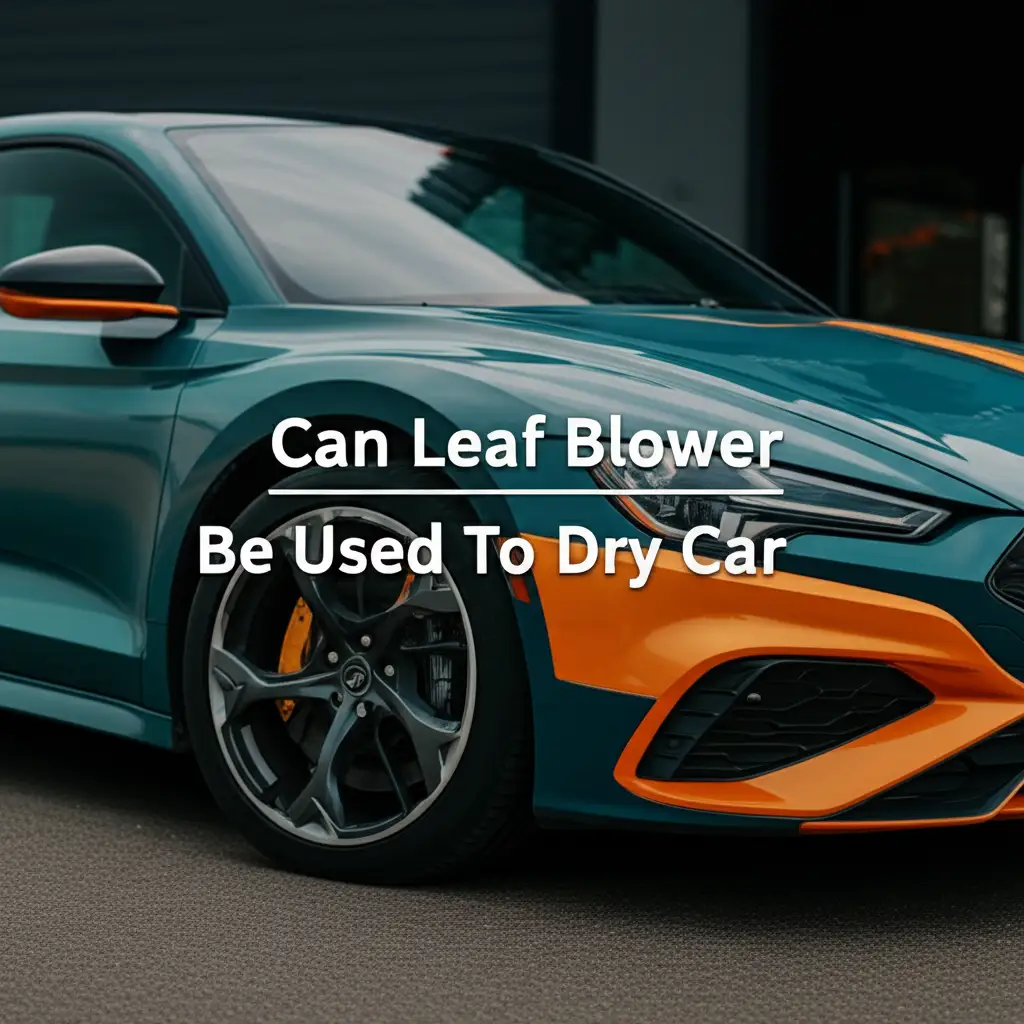 Can Leaf Blower Be Used To Dry Car