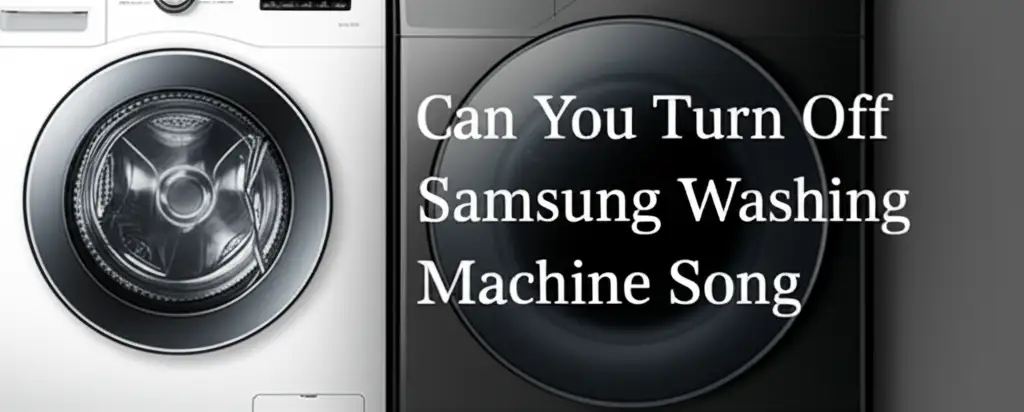 Can You Turn Off Samsung Washing Machine Song