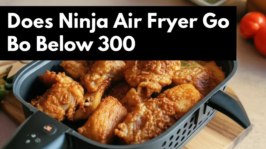 Does Ninja Air Fryer Go Below 300
