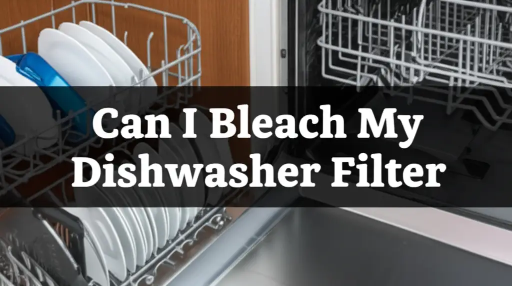 Can I Bleach My Dishwasher Filter