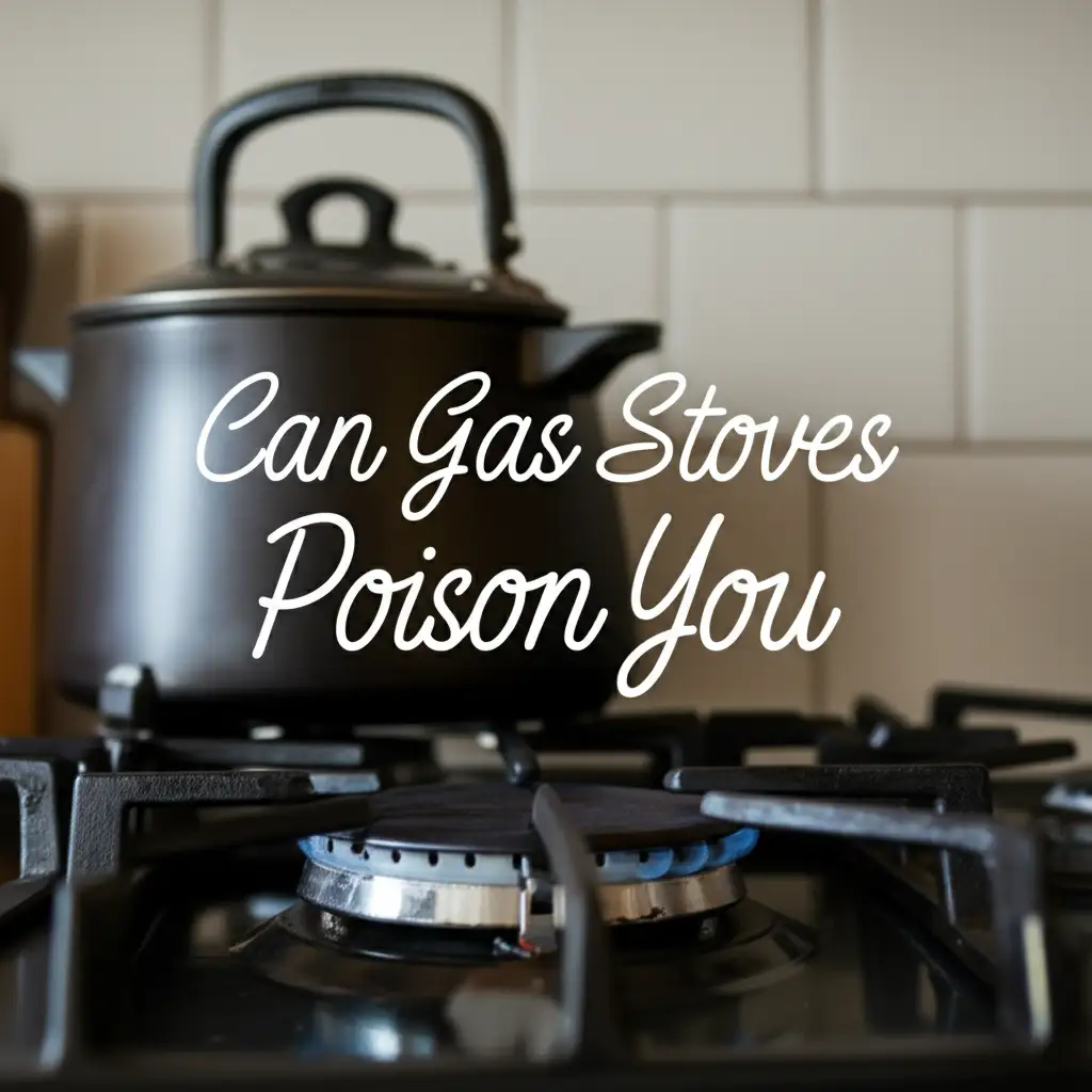 Can Gas Stoves Poison You