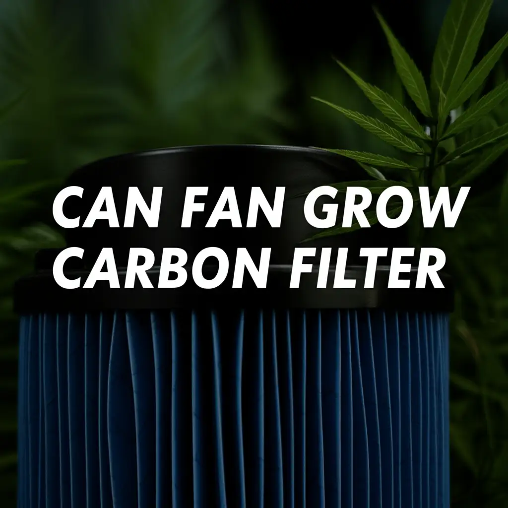 Can Fan Grow Carbon Filter