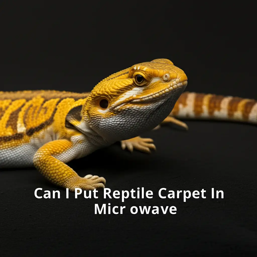 Can I Put Reptile Carpet In Microwave
