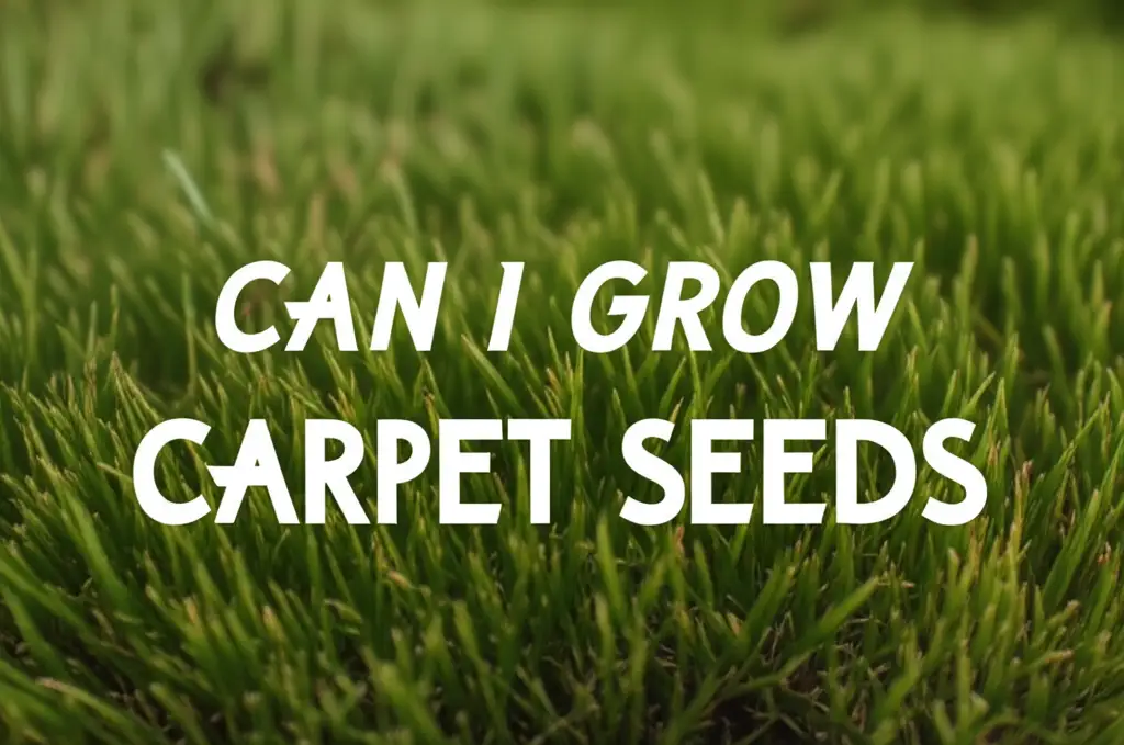 Can I Grow Carpet Seeds