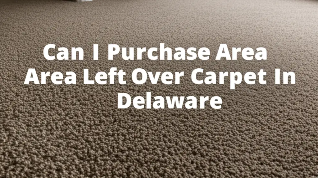 Can I Purchase Area Left Over Carpet In Delaware