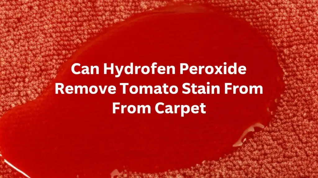 Can Hydrofen Peroxide Remove Tomato Stain From Carpet