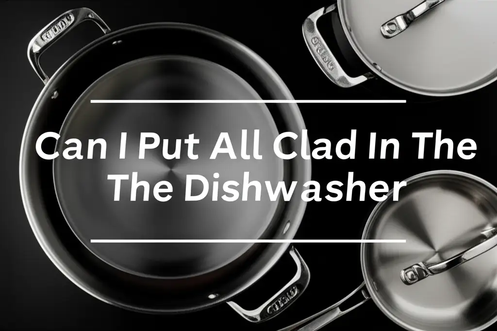 Can I Put All Clad In The Dishwasher