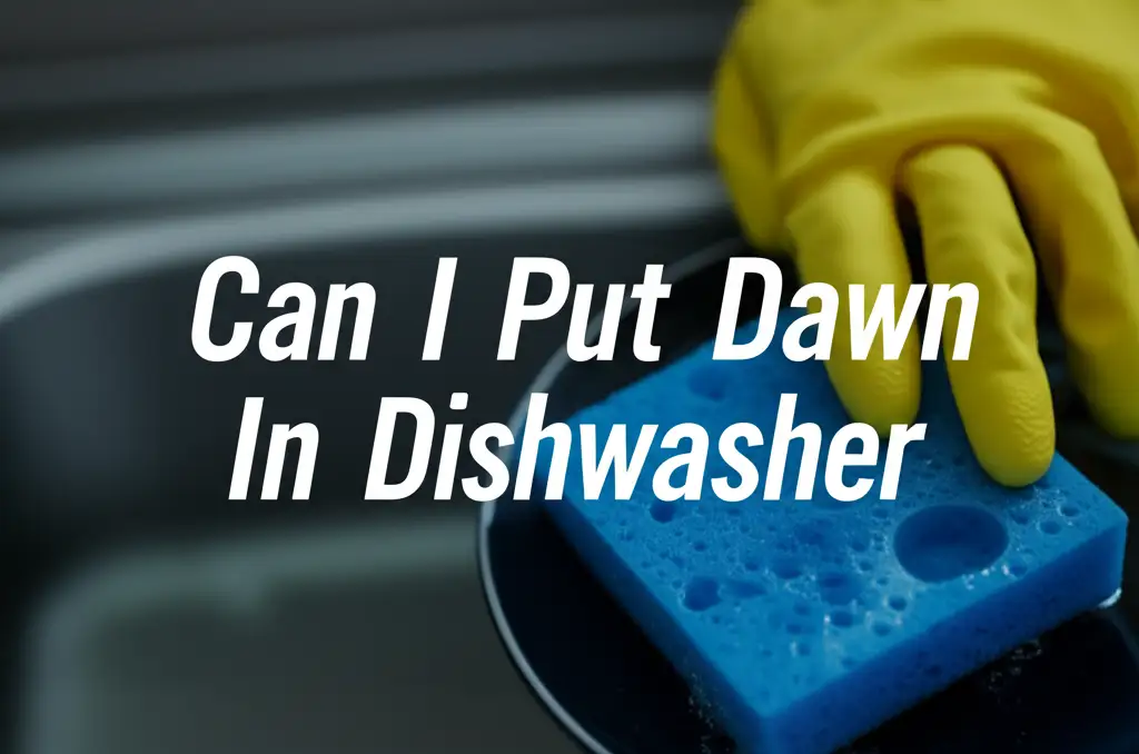 Can I Put Dawn In Dishwasher