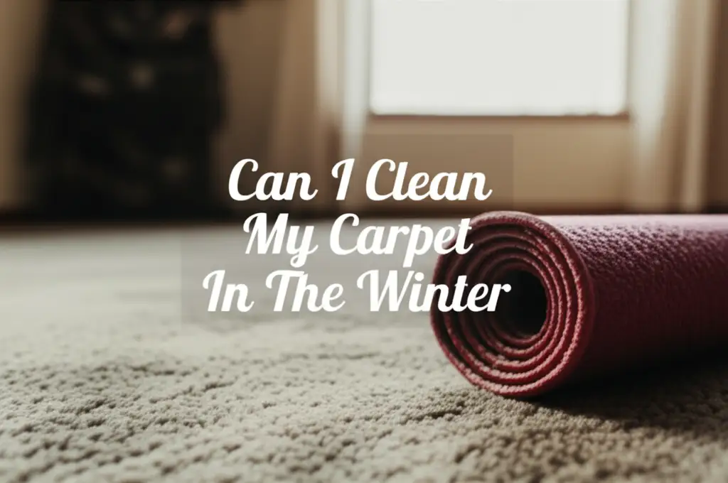 Can I Clean My Carpet In The Winter