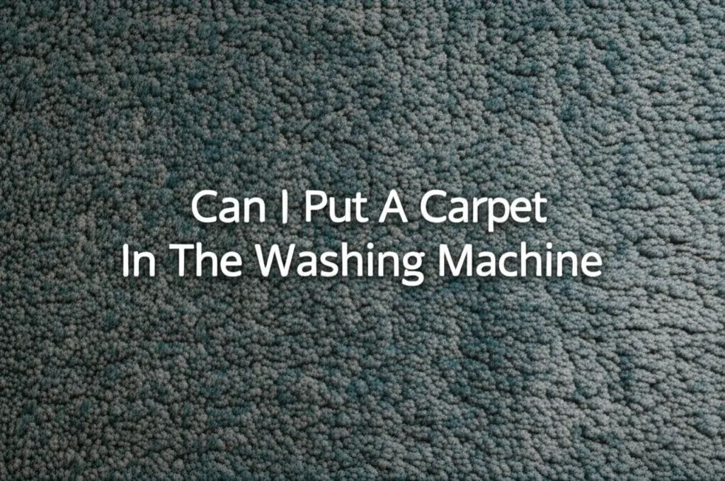 Can I Put A Carpet In The Washing Machine