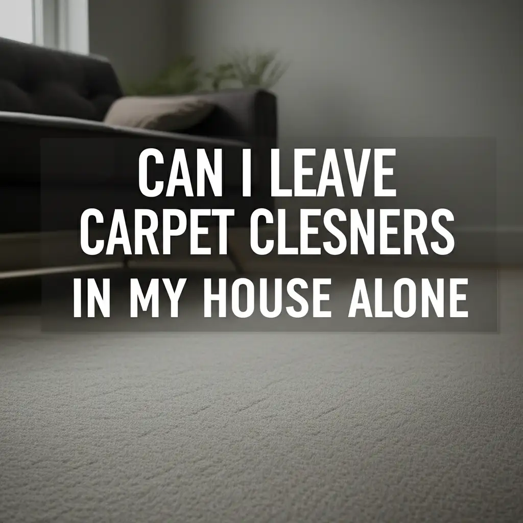Can I Leave Carpet Clesners In My House Alone