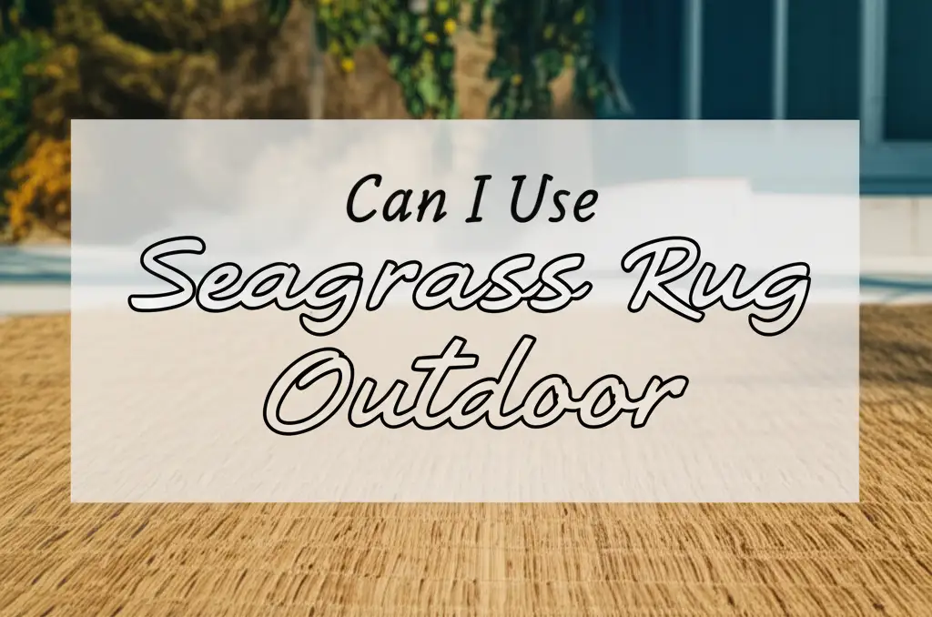 Can I Use Seagrass Rug Outdoor