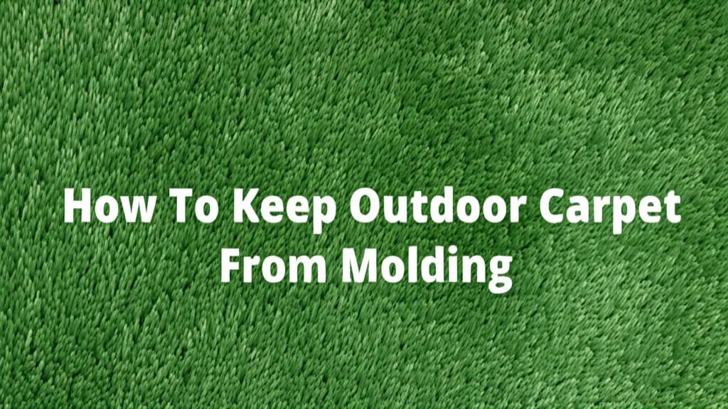How To Keep Outdoor Carpet From Molding — Home Essentials Guide (HEG)