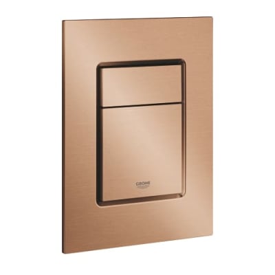 ჩამრეცხი ღილაკი