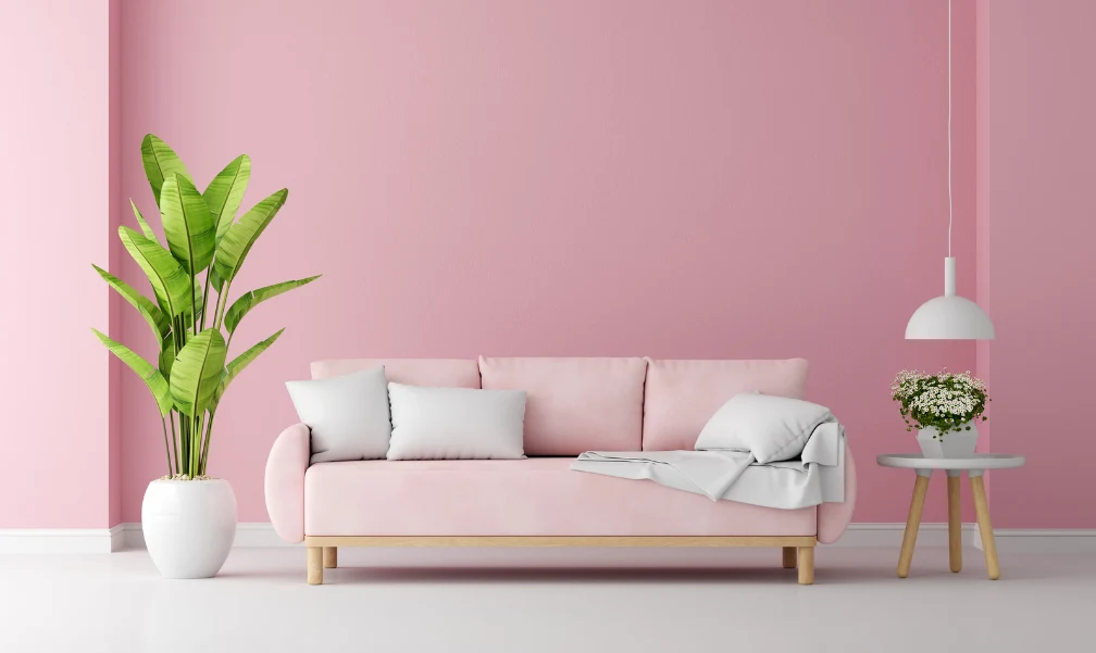 3 Seater (30% OFF) 3 Seater (30% OFF)