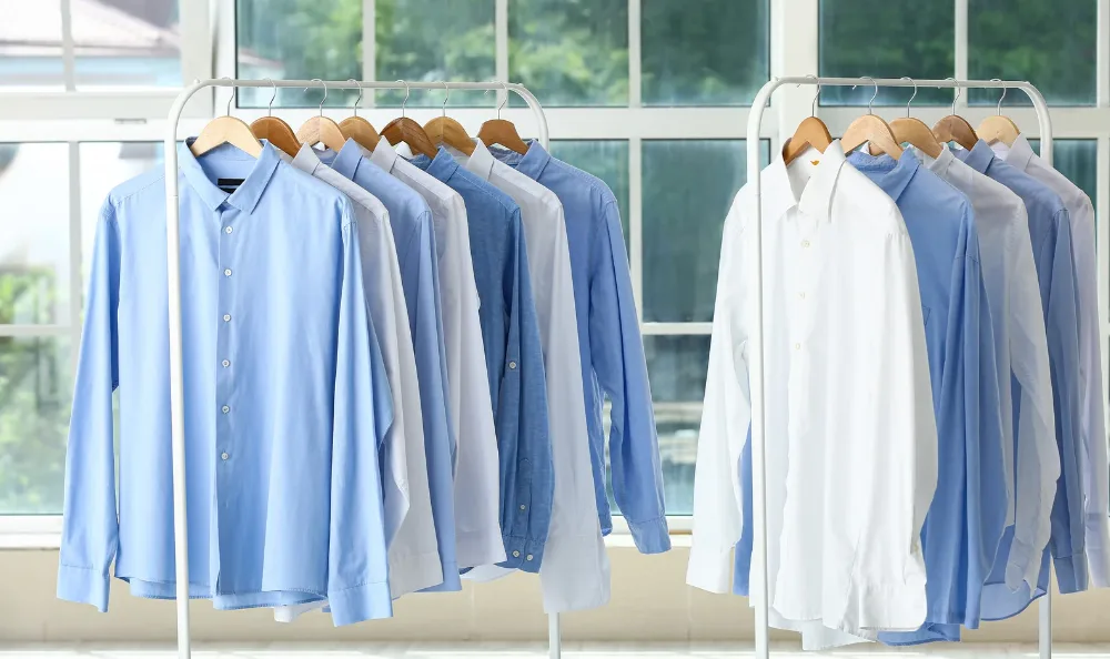 Shirt, T Shirt or Blouse Shirt, T Shirt or Blouse