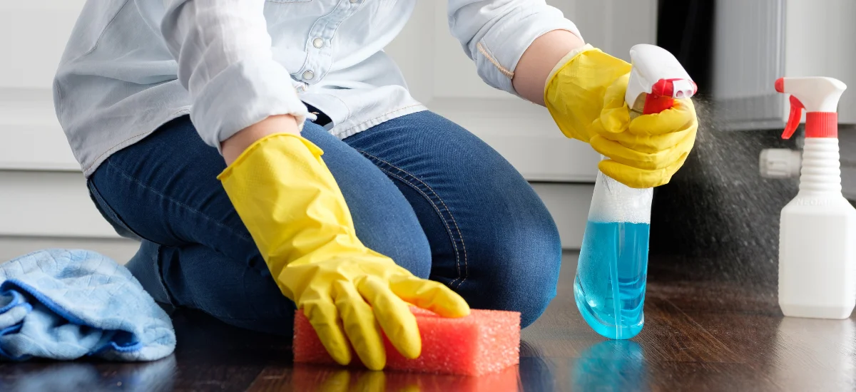 How To Keep Your House Clean?