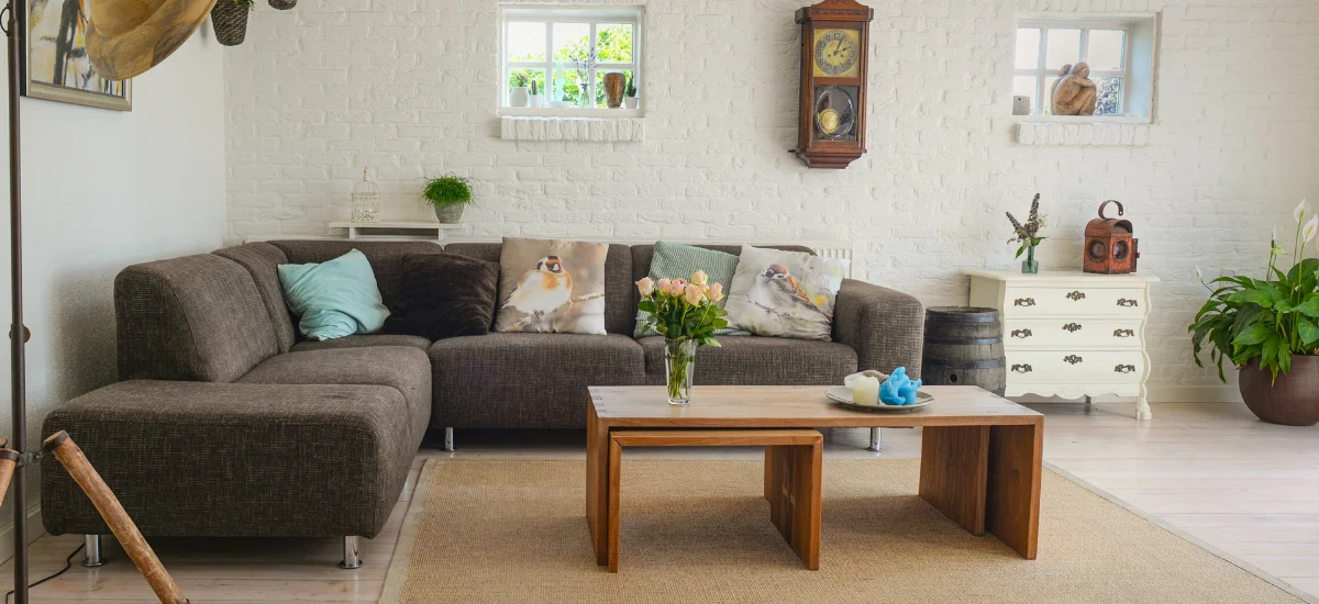 How to Clean House Fast and Professionally: House Cleaning Tips