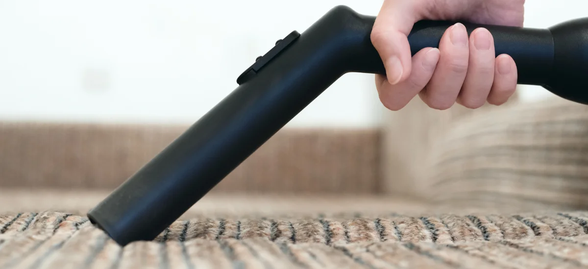 Why It’s Great to Have a Clean House: 7 Big Reasons From Zigy