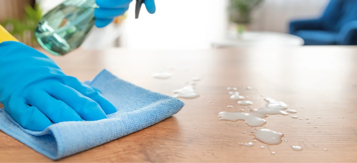 House Cleaning Marina