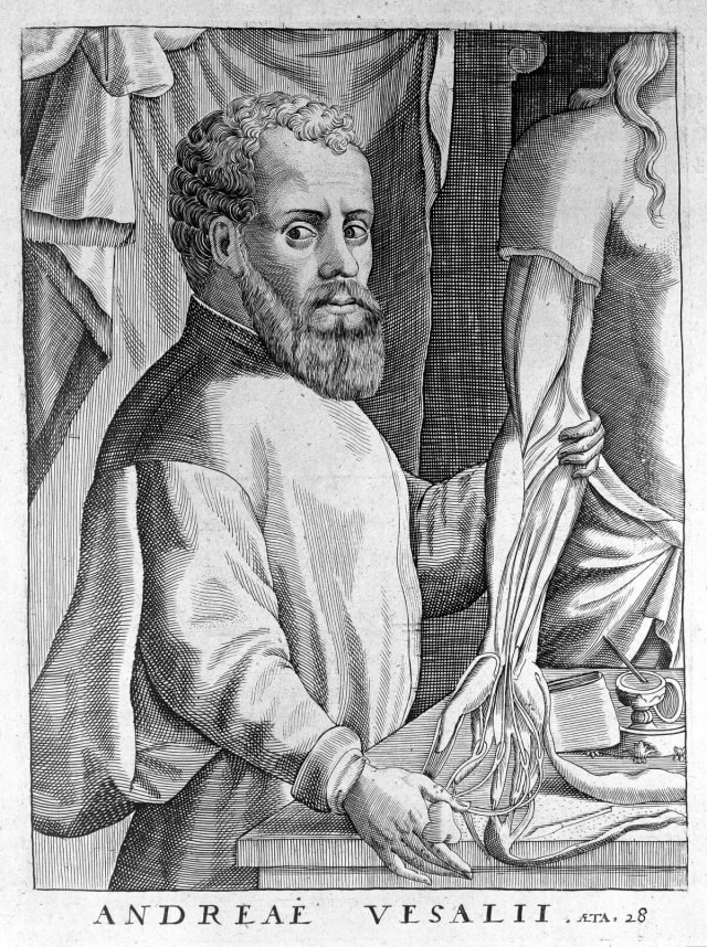 Portrait illustre de Andreas Vesalius