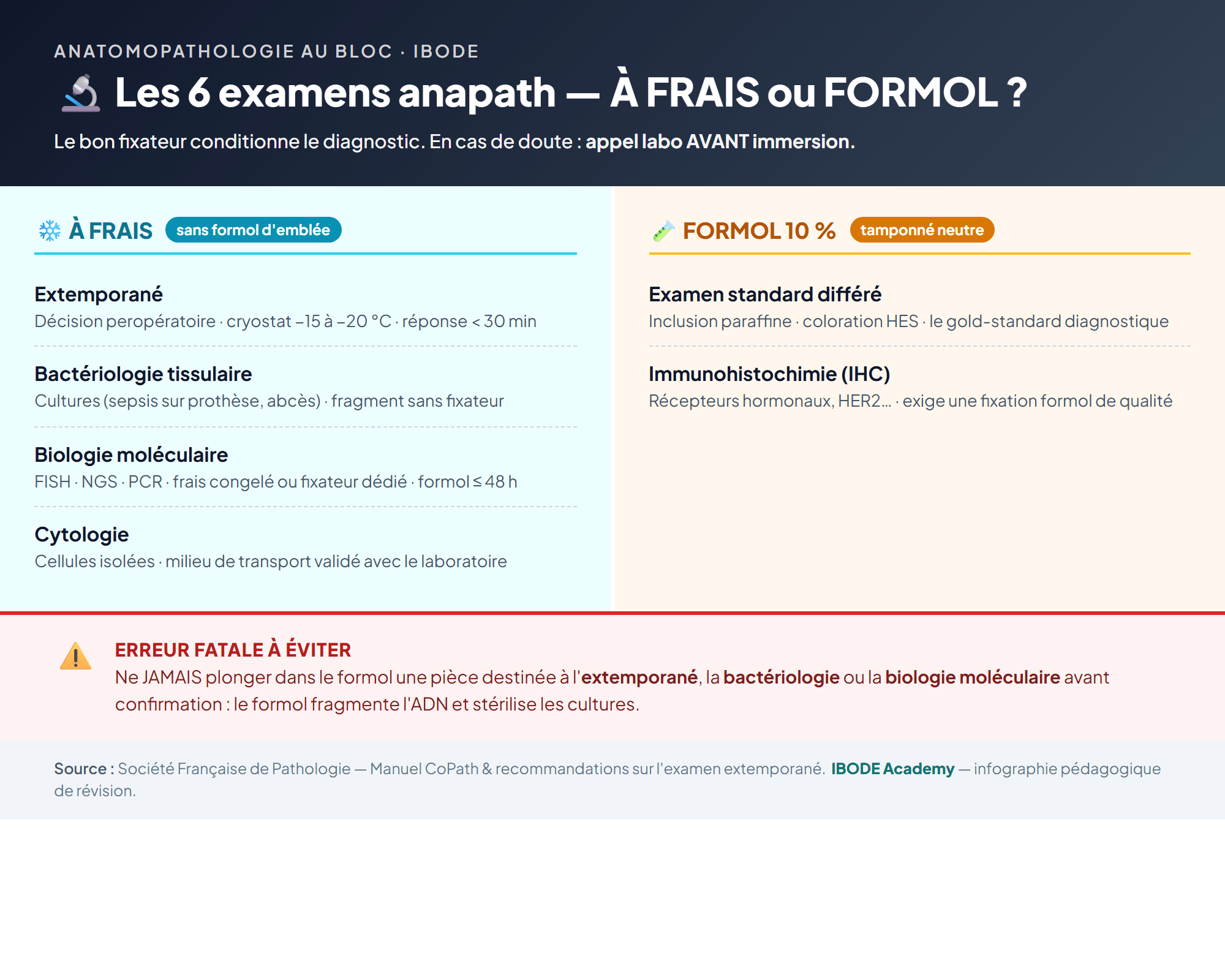 Les 6 examens anatomopathologiques au bloc : lesquels envoyer à frais et lesquels fixer au formol.
