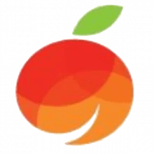 Orangic Smart Technology logo
