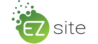 Website Logo