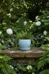 Serene Sky Blue Glazed Ceramic Planter with Matching Saucer Tray — view 5
