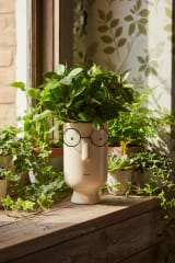 Quirky Ceramic Face Planter with Glasses - Off-White Decorative Vase — view 5
