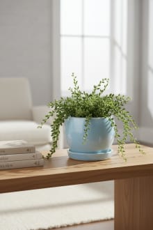 Serene Sky Blue Glazed Ceramic Planter with Matching Saucer Tray