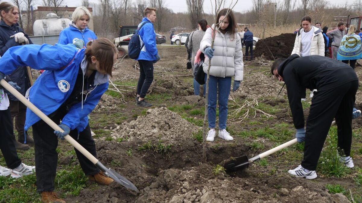 День древонасаждения в Ростовской области в 2022. Высадка деревьев. Высадка саженцев студентами. Молодежь сажает деревья. Ростов на дону новости свежие события