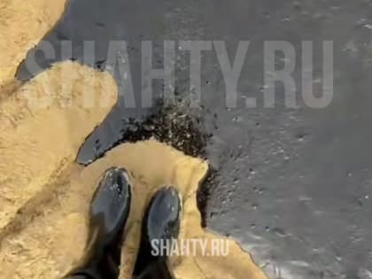 В Ростовскую область привозят песок с мазутом из Анапы