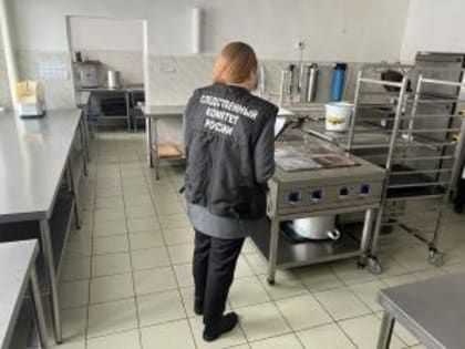 В Волгодонске возбудили уголовное дело по факту отравления учеников школы №7