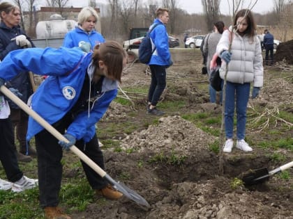 Более 18,5 млн потратят на проект благоустройства 2 км берега Темерника в Ростове