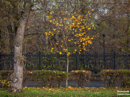 Погода в Таганроге 26 ноября: ночью обещают дождь