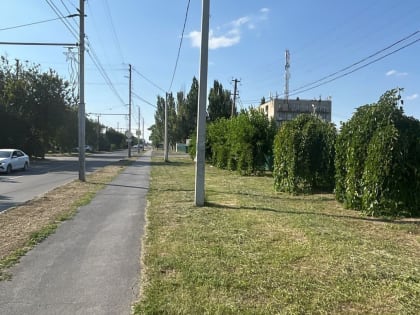 Покос травы проводится во всех районах Таганрога