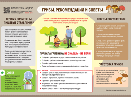 Меры профилактики отравлений грибами