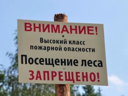 Вокруг массивов провели обновление противопожарных полос: сотрудники МЧС предупреждают шахтинцев