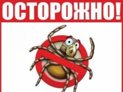 Как обезопасить себя в сезон активности клещей