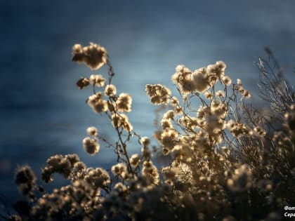 Погода в Таганроге 30 ноября: ветер и немного солнца