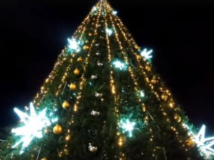 В Ростове зажглась главная новогодняя елка города