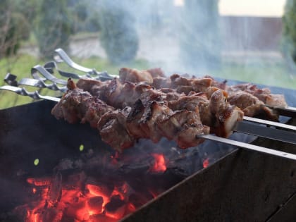 Отечества и дым нам не всегда приятен