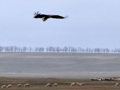 Война глазами девочки Светланки