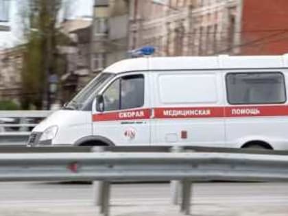 В Ростовской области в аварии погибла 8-летняя девочка