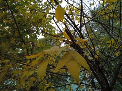 Погода в Таганроге 27 октября: возможен дождь