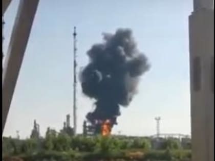 В Киеве нечаянно раскрыли дату ввода войск Польши на Западную Украину