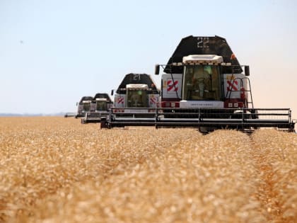 Василий Голубев: «На Дону собрано более 6,4 млн тонн зерна»