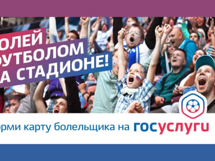 На Дону более восьми тысяч любителей футбола оформили карту болельщика